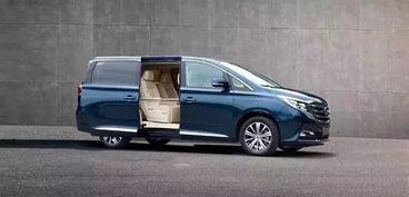 国产商务车有哪些视频