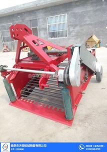 国产小型羊芋收获机视频,高效便捷的田间新宠