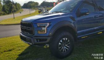 国产猛禽实拍视频在线看,翱翔天际的钢铁雄鹰