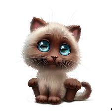 国产小猫动漫视频大全